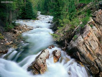 Crystal River Gunnison National Forest Colorado screenshot