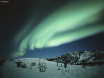 Dancing Northern Lights Alaska screenshot