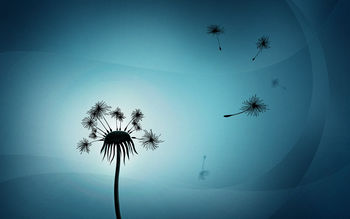 Dandelion screenshot