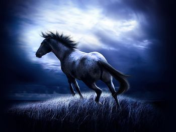 Dark Horse screenshot