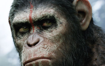 Dawn of the Planet of the Apes 2014 screenshot