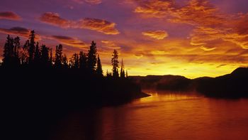 Dawn On The Dezadeash River And Boreal Forest, Yukon, Canada screenshot