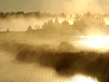 Daybreak, Nova Scotia, Canada screenshot