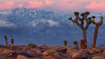 Death Valley, California screenshot