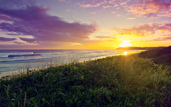 Dee Why Beach Sunrise screenshot