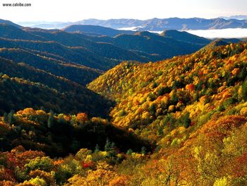 Deep Creek Valley Great Smoky Mountains National Park Tennessee screenshot