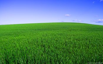 Deep Green Spring screenshot