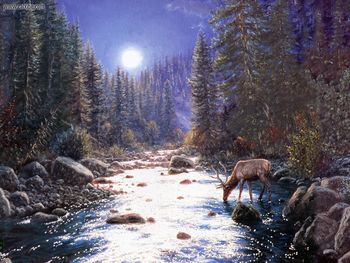 Deer In Moonlight By Mark Keathley screenshot