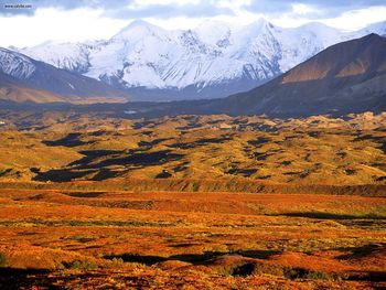 Denali National Park Alaska screenshot