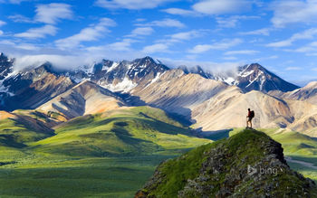 Denali National Park screenshot