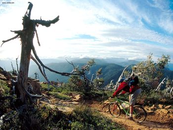 Descent From Pearsol Peak Lookout Selma Oregon screenshot