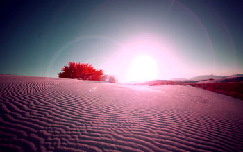 Desert Flare screenshot