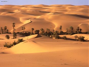 Desert Oasis Libya screenshot