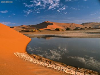 Desert Oasis screenshot