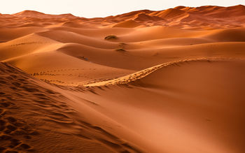 Desert Sand 4K screenshot
