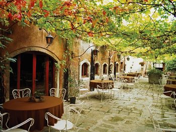 Dining Alfresco Venice Italy screenshot