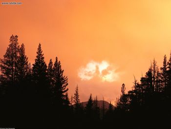 Divine Cloud At Sunset California screenshot