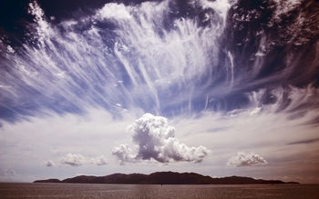 Divine Disturbance screenshot