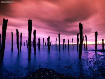 Dock Pilings Boston Harbor Massachusetts screenshot