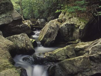 Dog Slaughter Creek, Cumberland Falls State Resort Park, Kentucky screenshot