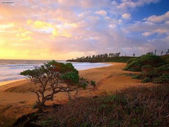 Donkey Beach Kauai Hawaii screenshot