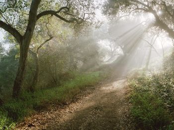 Douglas Family Preserve Santa Barbara California screenshot