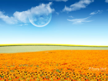 Dreamy Flower World screenshot