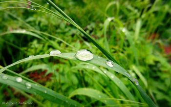 Drop On Grass screenshot