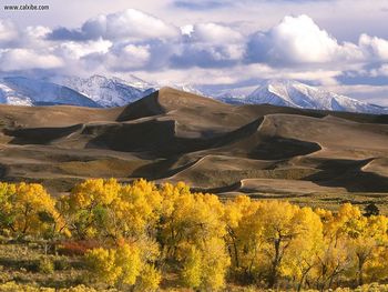 Dunes And Fall Color Colorado screenshot