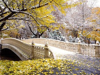 Early Snowfall Central Park New York screenshot