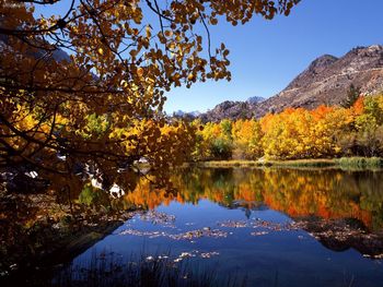 Eastern Sierra In Autumn, California screenshot