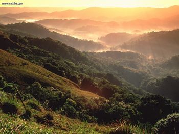 El Yunque Rainforest Puerto Rico screenshot