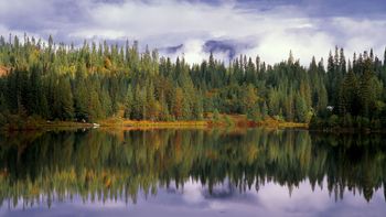Elk Creek Reservoir, St  Joe National Forest, Idaho screenshot