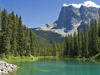 Emerald Lake, Yoho National Park, British Columbia screenshot