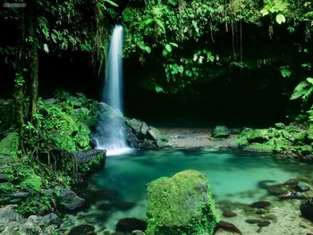 Emerald Pool Morne Trois Pitons National Park Dominica West Indies screenshot