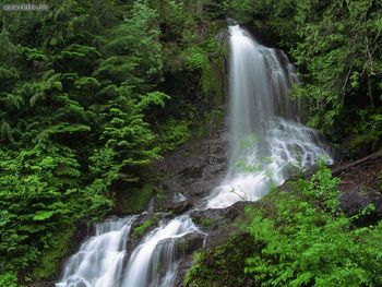 Etheral Waters Mount Rainier Washington screenshot