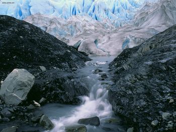 Exit Glacier Kenai Fjords National Park Alaska screenshot