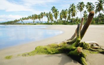 Exotic Beach screenshot