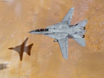 F14 Tomcat Fighter United States Navy Operation Desert Storm screenshot