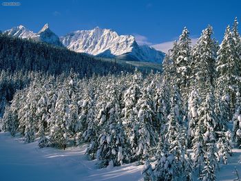 Fairview And Saddle Mountains Alberta screenshot