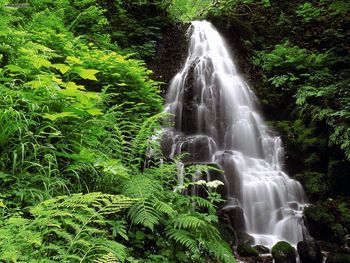 Fairy Falls Columbia Gorge National Scenic Area Oregon screenshot