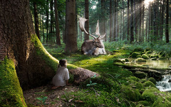 Fairytale Forest screenshot