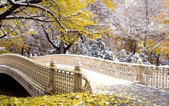 Fall Central Park New York screenshot