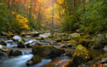 Fall In Tennessee screenshot