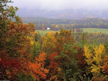 Fall Spectacular Smoky Mountains National Park Tennessee screenshot