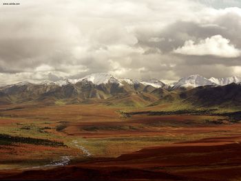 Fall Tundra Denali National Park Alaska screenshot