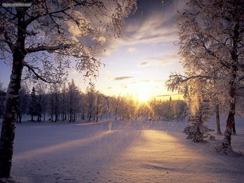 Fallen Snow Arctic Valley Alaska screenshot