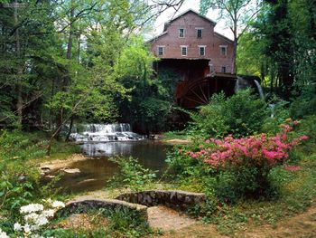 Falls Mill Belvidere Tennessee screenshot