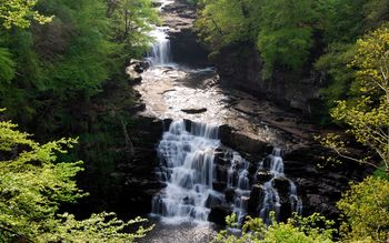 Falls of Clyde screenshot