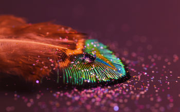 Feather Drop screenshot